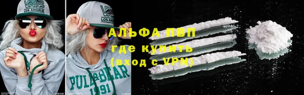 ECSTASY Майский