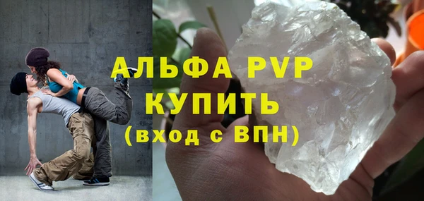 дмт Магас