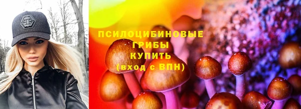 ECSTASY Майский