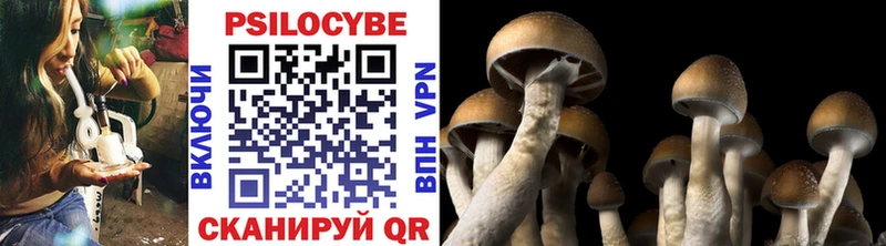 Псилоцибиновые грибы GOLDEN TEACHER  Чудово 